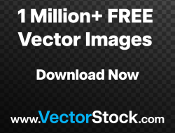 Complete Guide to Buying Diamond Jewelry from Online Stores