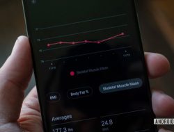 S2 Smart Scale – Wi-Fi Body Composition Scale – Garmin