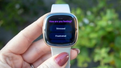 Sense 2 – Stress Management Watch – Fitbit Overview