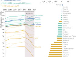 Life style Elevate Your Daily Choices for Wellness