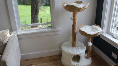 Mau Lifestyle Cat Tree The Ultimate Feline Haven