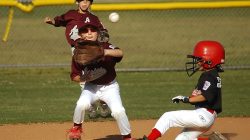 Baseball Lifestyle 101 Backpacks For Every Player Baseball Lifestyle 101 Backpacks For Every Player