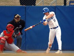 Baseball Lifestyle Shorts The Ultimate Casual Wear