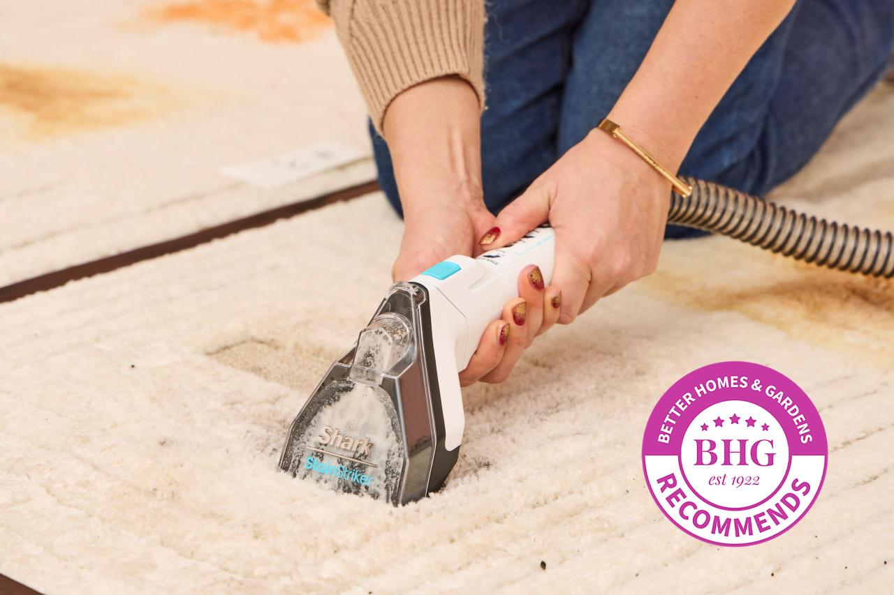 Cheaper carpet cleaner for a fresh and clean home
