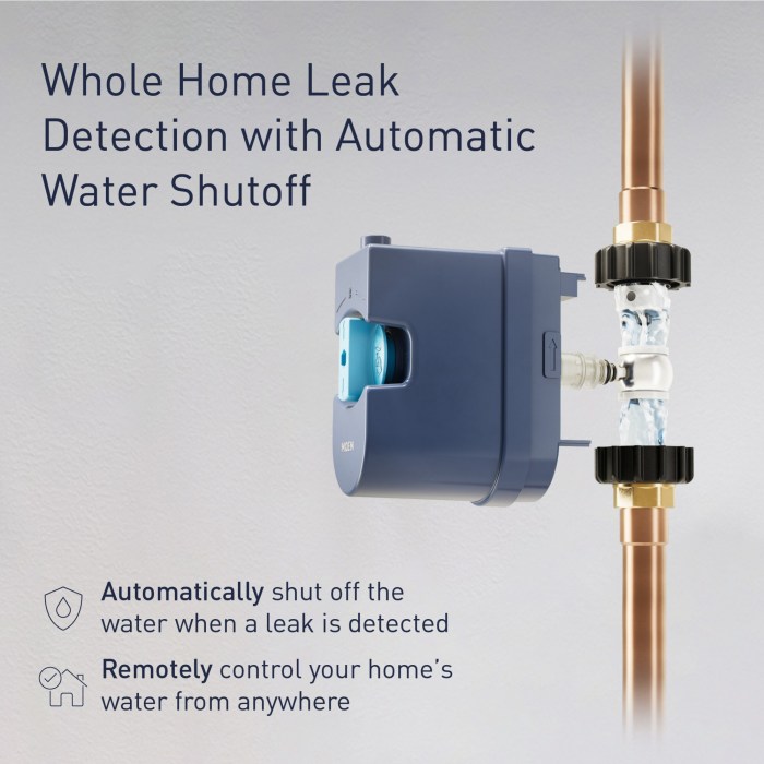 Moen Flo Smart Water Monitor Testing the Best Leak Detection Performance for Homes