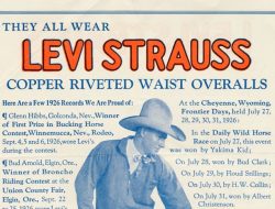 Levis 501 Original Fit Reviewing the Durability of the Iconic Denim Jeans