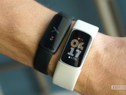Fitbit Charge 6 Testing the Best Health Tracker for Heart Rate and ECG Accuracy