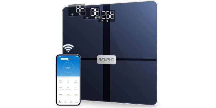 Renpho Smart Scale Reviewing the Best Budget Body Fat Analyzer Performance