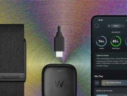 Whoop 4.0 Review Testing the Best Screenless Tracker for Athlete Recovery