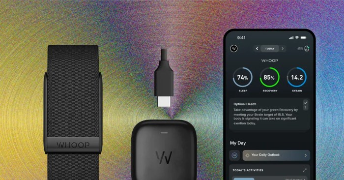 Whoop 4.0 Review Testing the Best Screenless Tracker for Athlete Recovery