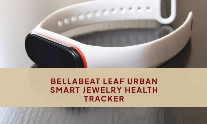 Bellabeat Leaf Urban Evaluating the Best Aesthetic Health Tracker for Women