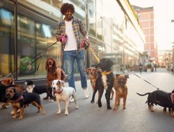 Thumbtack Review Evaluating the Best Local Home Service Pro Booking Tool