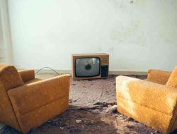 TaskRabbit for Landlords Reviewing the Best Maintenance Support for Properties